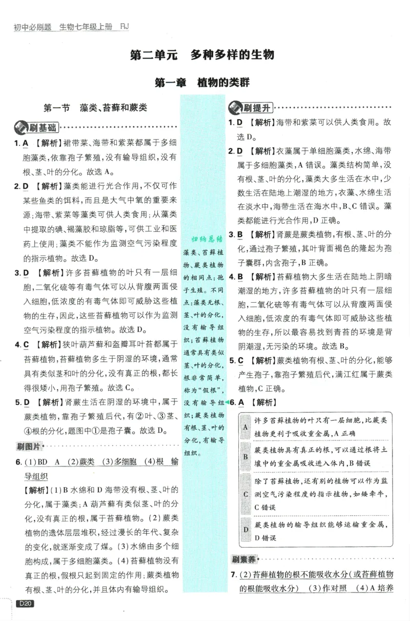 初中必刷题-7上-生物人教版批注式详答与详析_2、2025初中必刷题合集_初中必刷题23+24+25上册_2025版（全科上册）_2025版（全科上册）_初中必刷题生物