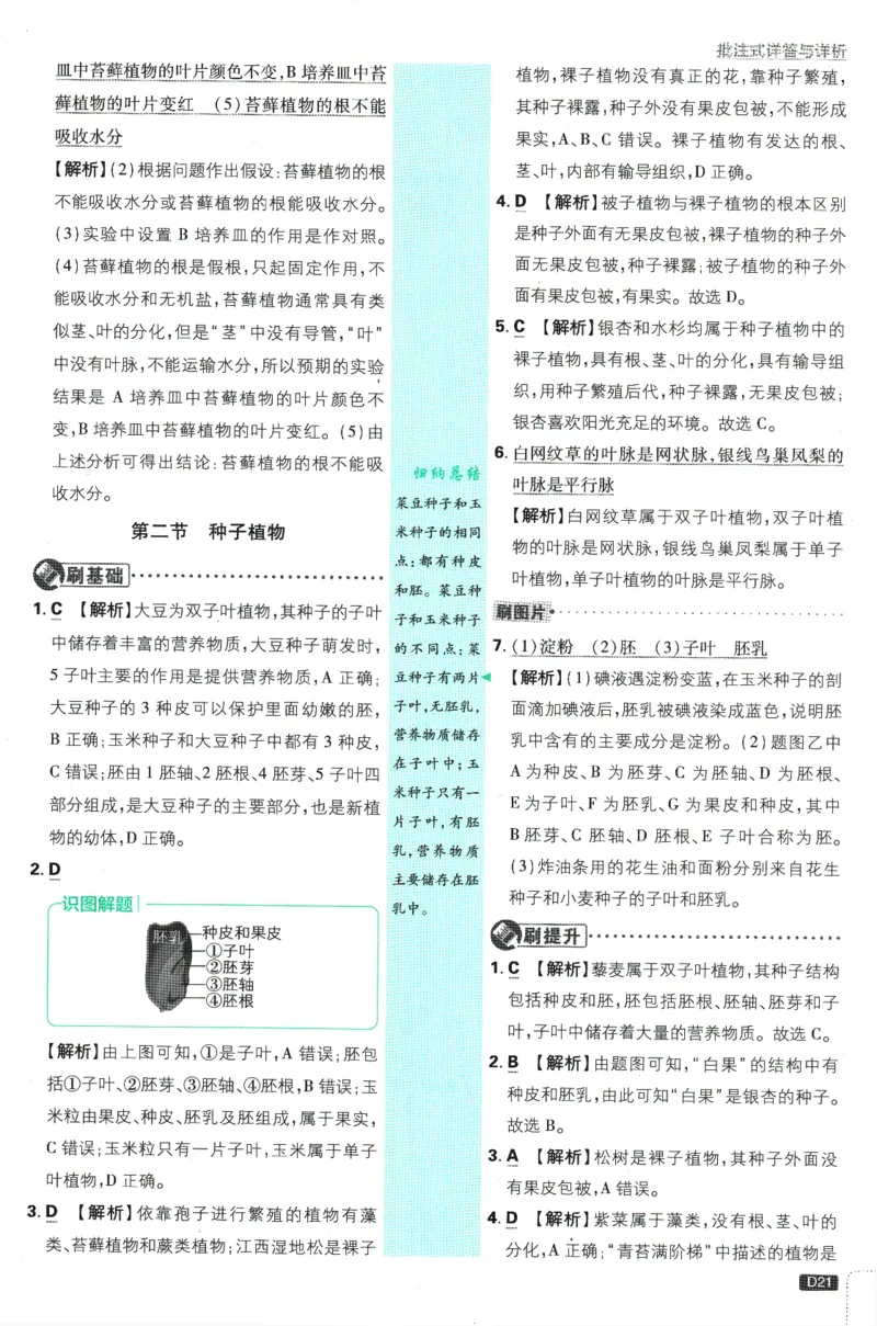 初中必刷题-7上-生物人教版批注式详答与详析_2、2025初中必刷题合集_初中必刷题23+24+25上册_2025版（全科上册）_2025版（全科上册）_初中必刷题生物