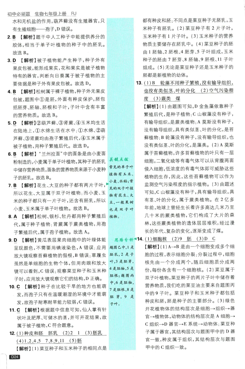初中必刷题-7上-生物人教版批注式详答与详析_2、2025初中必刷题合集_初中必刷题23+24+25上册_2025版（全科上册）_2025版（全科上册）_初中必刷题生物