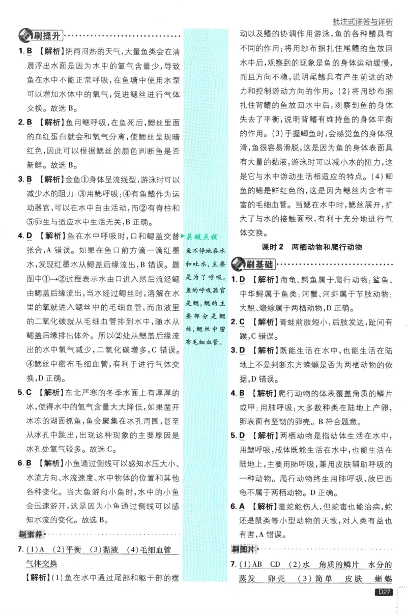 初中必刷题-7上-生物人教版批注式详答与详析_2、2025初中必刷题合集_初中必刷题23+24+25上册_2025版（全科上册）_2025版（全科上册）_初中必刷题生物