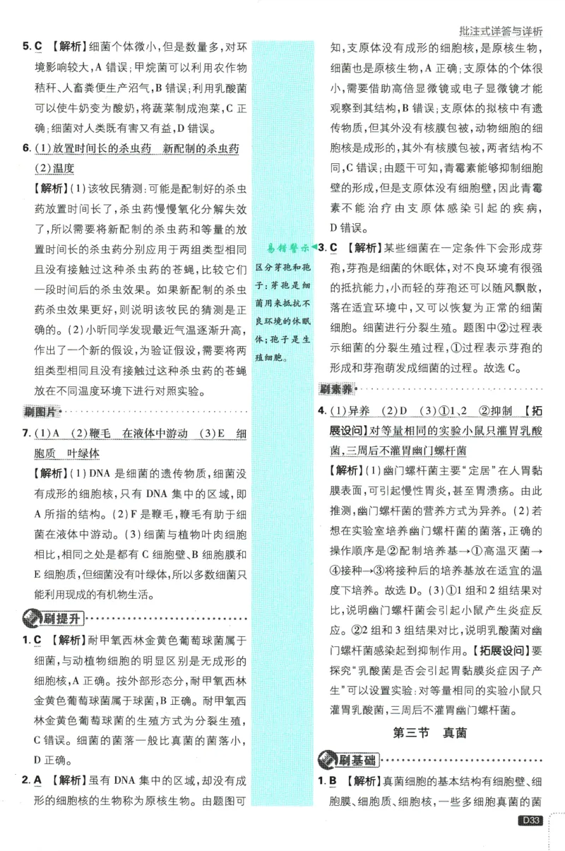 初中必刷题-7上-生物人教版批注式详答与详析_2、2025初中必刷题合集_初中必刷题23+24+25上册_2025版（全科上册）_2025版（全科上册）_初中必刷题生物