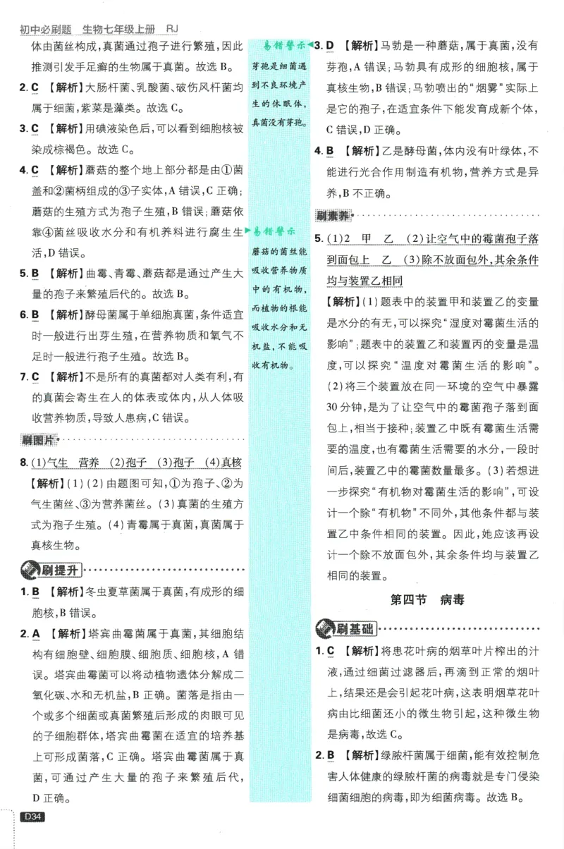 初中必刷题-7上-生物人教版批注式详答与详析_2、2025初中必刷题合集_初中必刷题23+24+25上册_2025版（全科上册）_2025版（全科上册）_初中必刷题生物
