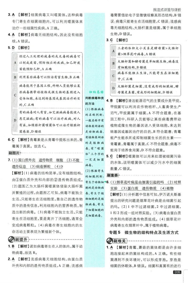 初中必刷题-7上-生物人教版批注式详答与详析_2、2025初中必刷题合集_初中必刷题23+24+25上册_2025版（全科上册）_2025版（全科上册）_初中必刷题生物