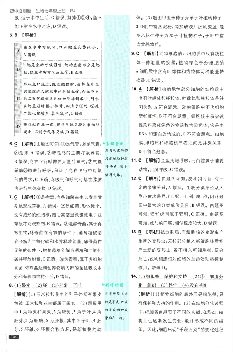 初中必刷题-7上-生物人教版批注式详答与详析_2、2025初中必刷题合集_初中必刷题23+24+25上册_2025版（全科上册）_2025版（全科上册）_初中必刷题生物