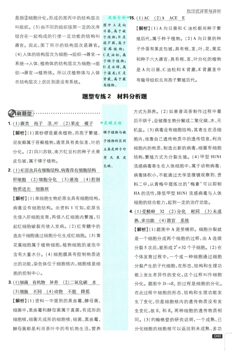 初中必刷题-7上-生物人教版批注式详答与详析_2、2025初中必刷题合集_初中必刷题23+24+25上册_2025版（全科上册）_2025版（全科上册）_初中必刷题生物