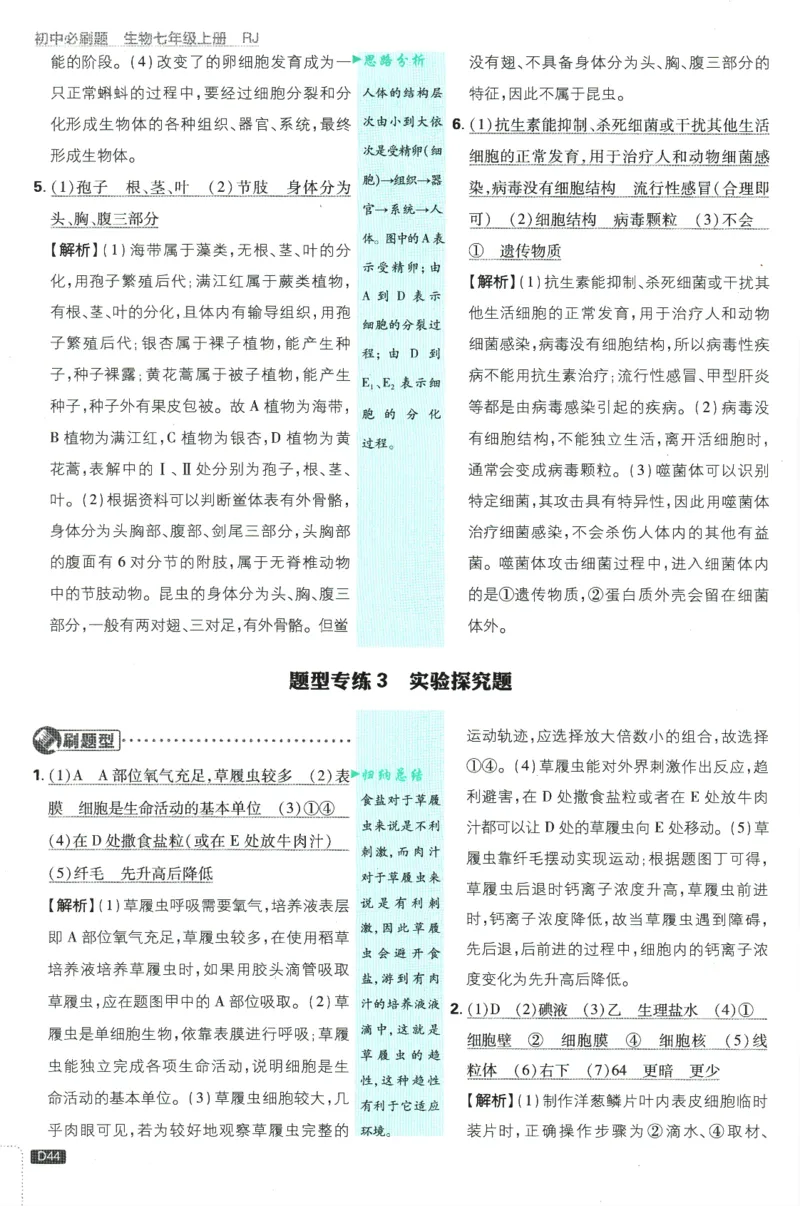 初中必刷题-7上-生物人教版批注式详答与详析_2、2025初中必刷题合集_初中必刷题23+24+25上册_2025版（全科上册）_2025版（全科上册）_初中必刷题生物