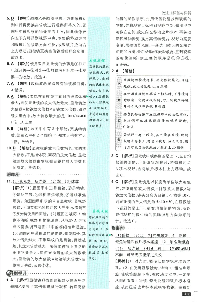 初中必刷题-7上-生物人教版批注式详答与详析_2、2025初中必刷题合集_初中必刷题23+24+25上册_2025版（全科上册）_2025版（全科上册）_初中必刷题生物