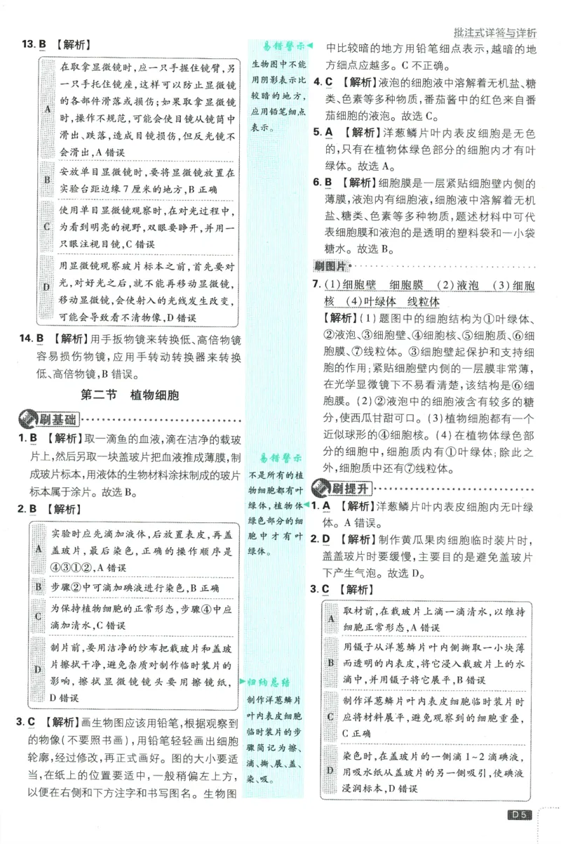 初中必刷题-7上-生物人教版批注式详答与详析_2、2025初中必刷题合集_初中必刷题23+24+25上册_2025版（全科上册）_2025版（全科上册）_初中必刷题生物