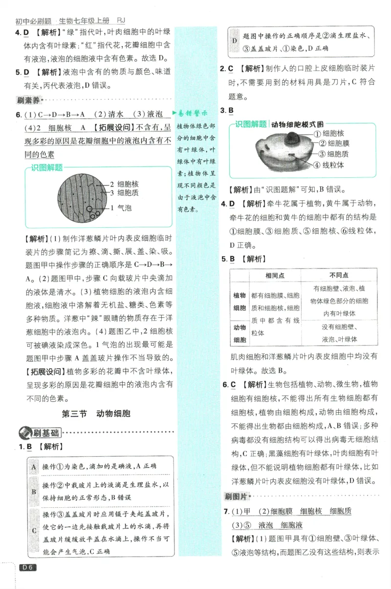 初中必刷题-7上-生物人教版批注式详答与详析_2、2025初中必刷题合集_初中必刷题23+24+25上册_2025版（全科上册）_2025版（全科上册）_初中必刷题生物