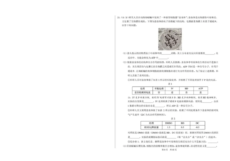 2026年3月诊断性测试生物_2026届标准学术能力诊断性测试高三3月测试全科_06生物_标准学术能力诊断性测试高三3月测试