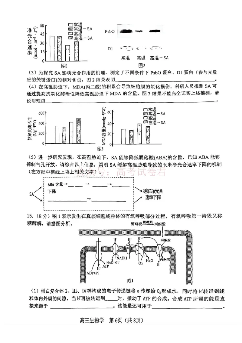 2026年天津市河东区高三下学期总复习质量检测（一）生物_副本_2026年天津市河东区高三下学期总复习质量检测（一）全科_06生物_天津市河东区高三下学期总复习质量检测（一）