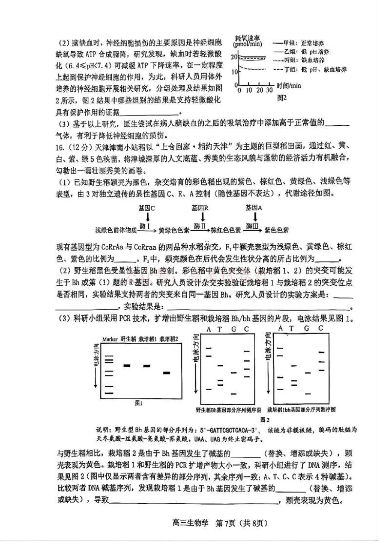 2026年天津市河东区高三下学期总复习质量检测（一）生物_副本_2026年天津市河东区高三下学期总复习质量检测（一）全科_06生物_天津市河东区高三下学期总复习质量检测（一）