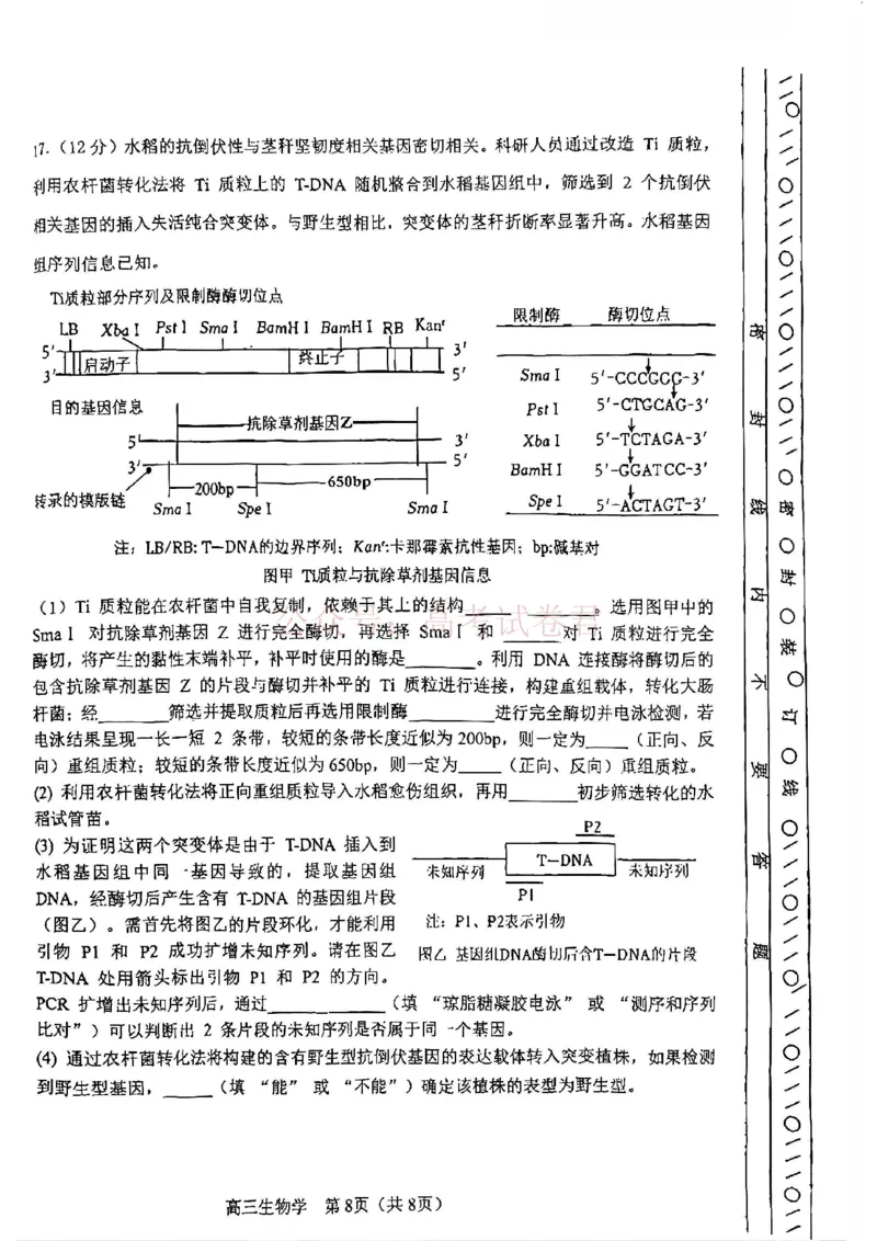 2026年天津市河东区高三下学期总复习质量检测（一）生物_副本_2026年天津市河东区高三下学期总复习质量检测（一）全科_06生物_天津市河东区高三下学期总复习质量检测（一）