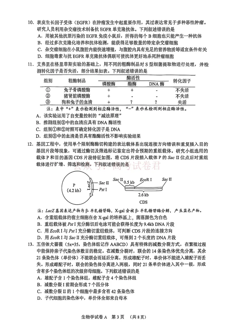 2026年广州市普通高中毕业班综合测试（一）生物试题_副本_2026届广州市高三毕业班综合测试（一）全科_06生物_广州市高三毕业班综合测试（一）
