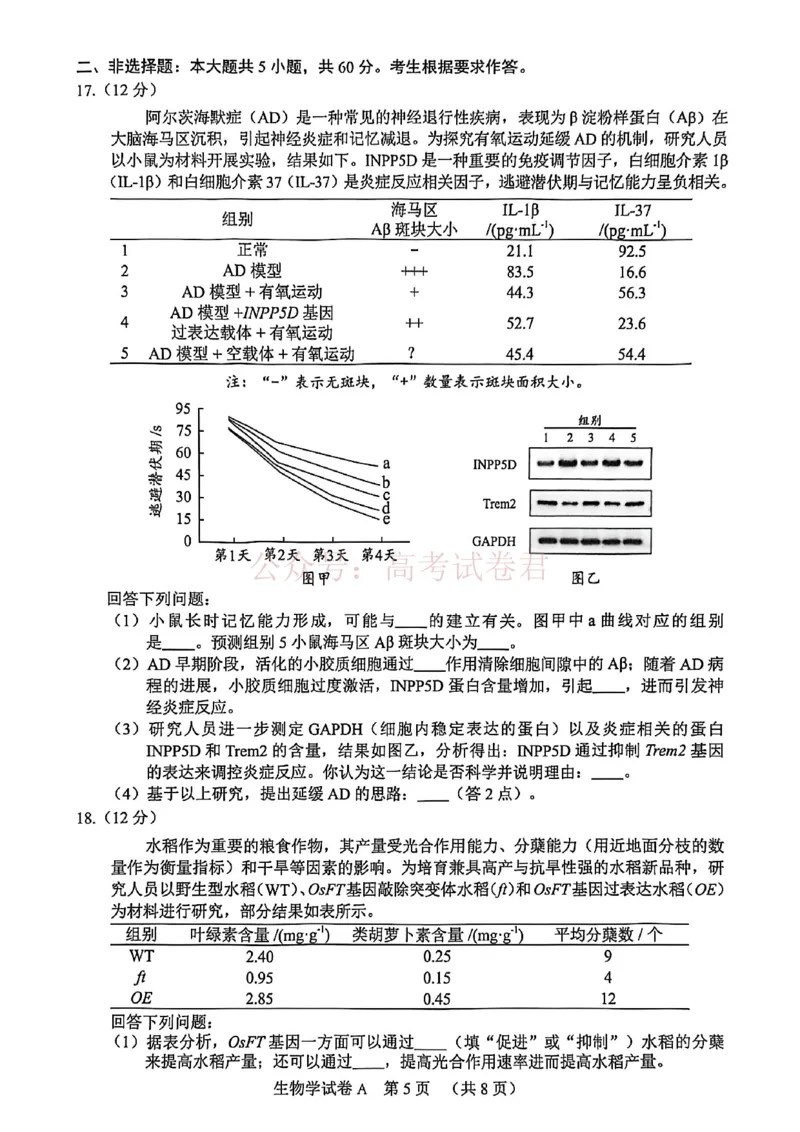 2026年广州市普通高中毕业班综合测试（一）生物试题_副本_2026届广州市高三毕业班综合测试（一）全科_06生物_广州市高三毕业班综合测试（一）
