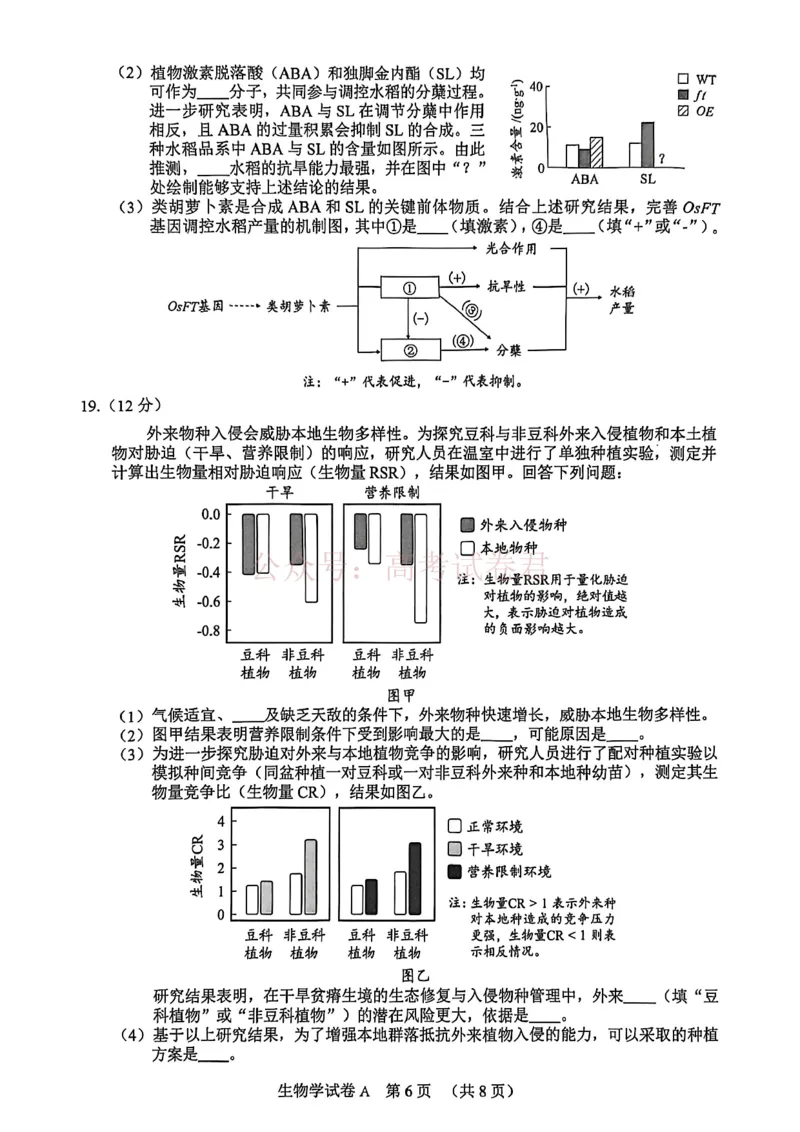 2026年广州市普通高中毕业班综合测试（一）生物试题_副本_2026届广州市高三毕业班综合测试（一）全科_06生物_广州市高三毕业班综合测试（一）