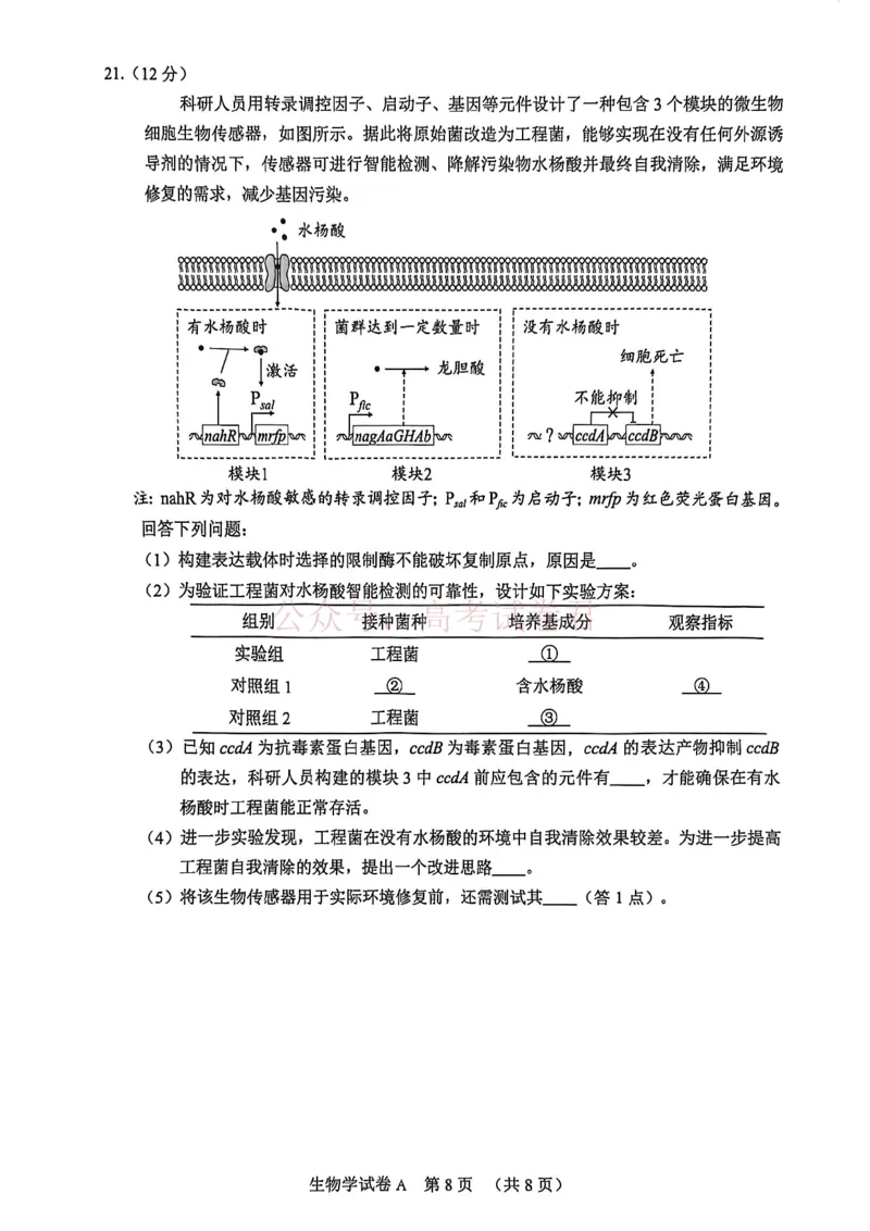 2026年广州市普通高中毕业班综合测试（一）生物试题_副本_2026届广州市高三毕业班综合测试（一）全科_06生物_广州市高三毕业班综合测试（一）