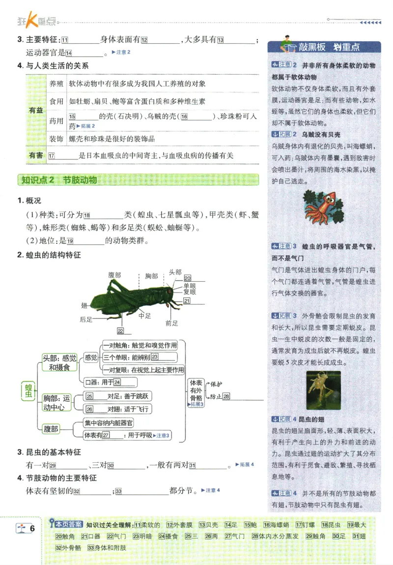 初中必刷题-8上-生物人教版狂K重点_2、2025初中必刷题合集_初中必刷题23+24+25上册_2025版（全科上册）_2025版（全科上册）_初中必刷题生物