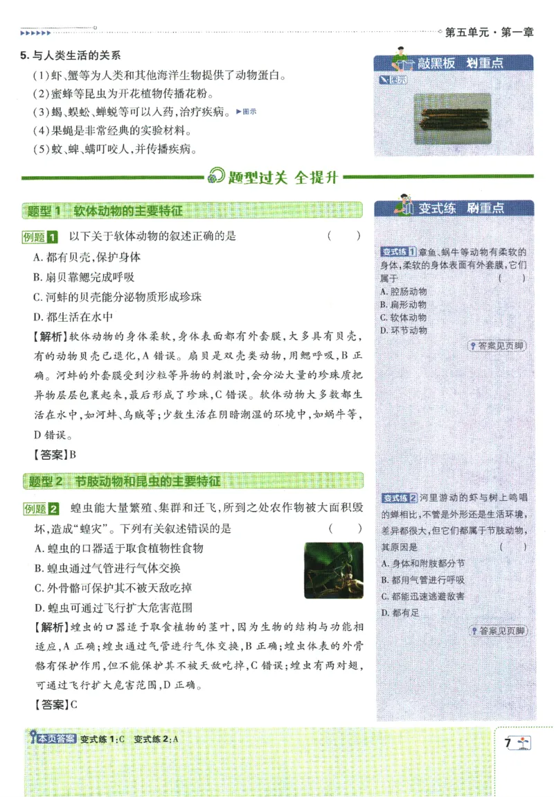 初中必刷题-8上-生物人教版狂K重点_2、2025初中必刷题合集_初中必刷题23+24+25上册_2025版（全科上册）_2025版（全科上册）_初中必刷题生物