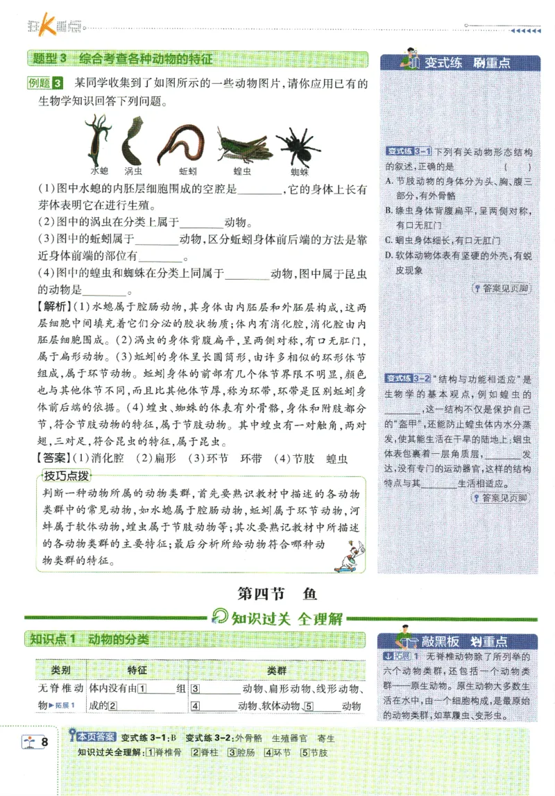 初中必刷题-8上-生物人教版狂K重点_2、2025初中必刷题合集_初中必刷题23+24+25上册_2025版（全科上册）_2025版（全科上册）_初中必刷题生物