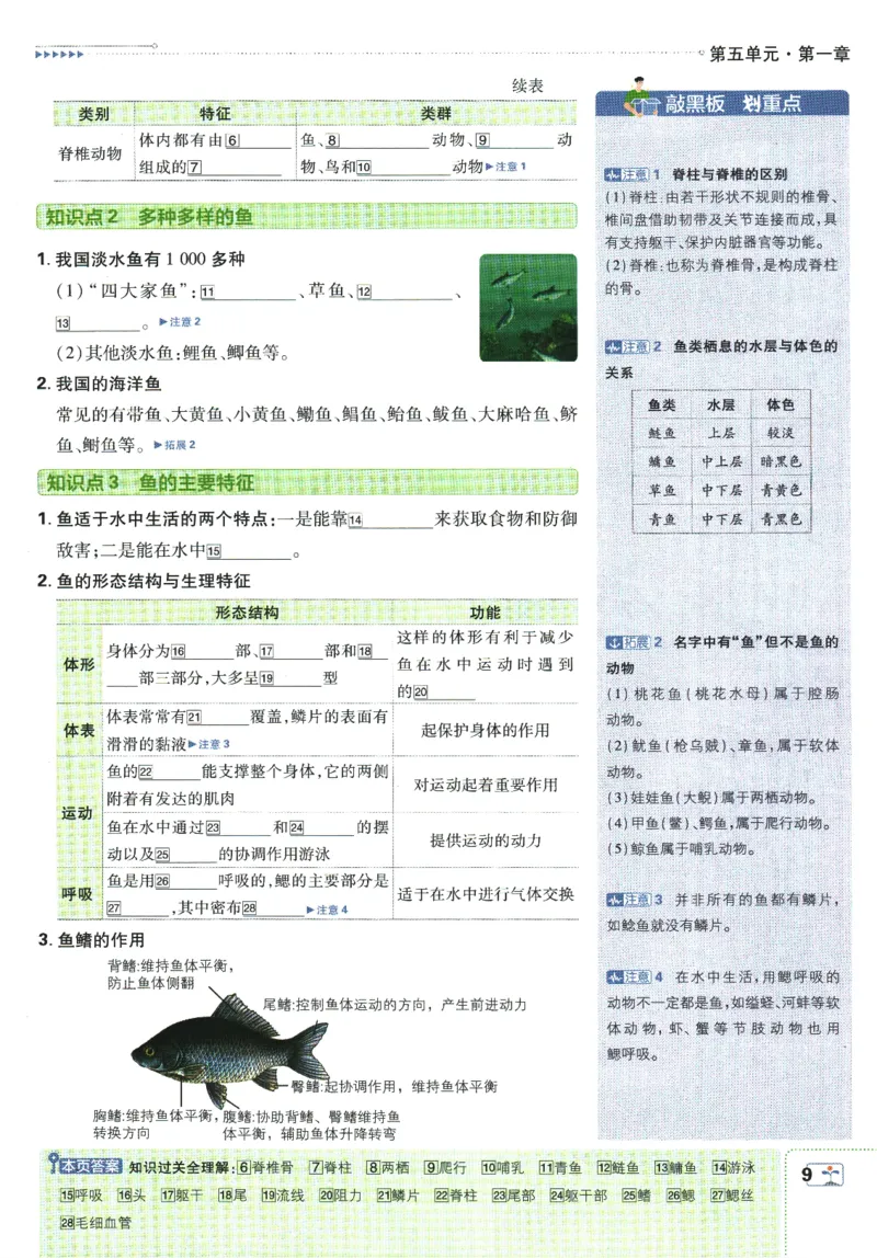 初中必刷题-8上-生物人教版狂K重点_2、2025初中必刷题合集_初中必刷题23+24+25上册_2025版（全科上册）_2025版（全科上册）_初中必刷题生物