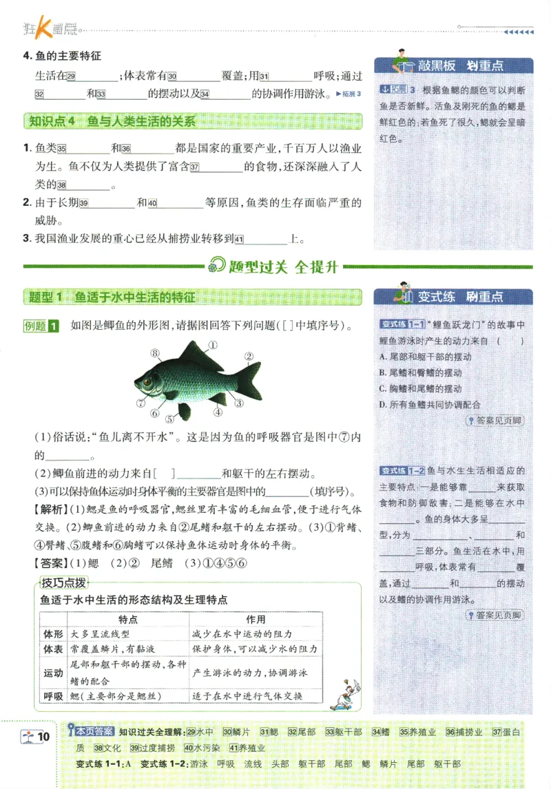 初中必刷题-8上-生物人教版狂K重点_2、2025初中必刷题合集_初中必刷题23+24+25上册_2025版（全科上册）_2025版（全科上册）_初中必刷题生物