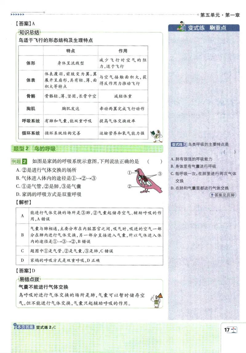 初中必刷题-8上-生物人教版狂K重点_2、2025初中必刷题合集_初中必刷题23+24+25上册_2025版（全科上册）_2025版（全科上册）_初中必刷题生物
