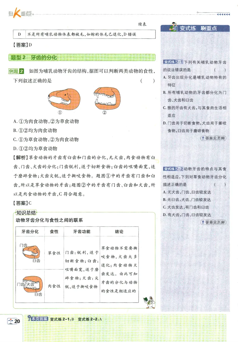 初中必刷题-8上-生物人教版狂K重点_2、2025初中必刷题合集_初中必刷题23+24+25上册_2025版（全科上册）_2025版（全科上册）_初中必刷题生物