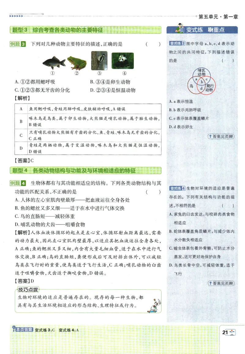 初中必刷题-8上-生物人教版狂K重点_2、2025初中必刷题合集_初中必刷题23+24+25上册_2025版（全科上册）_2025版（全科上册）_初中必刷题生物