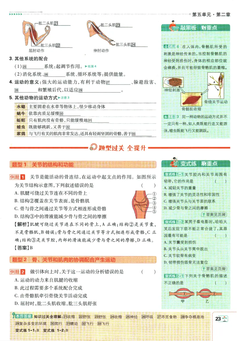 初中必刷题-8上-生物人教版狂K重点_2、2025初中必刷题合集_初中必刷题23+24+25上册_2025版（全科上册）_2025版（全科上册）_初中必刷题生物
