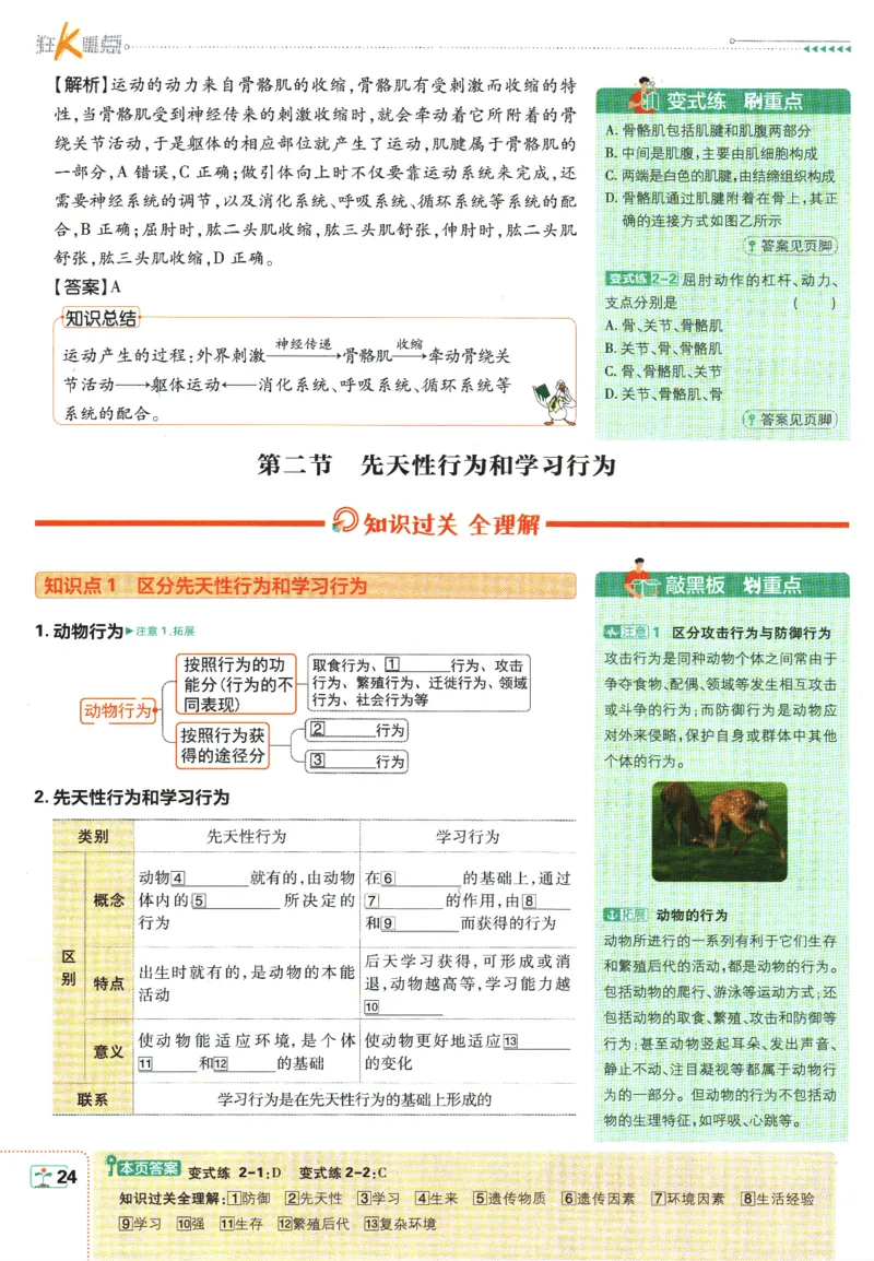 初中必刷题-8上-生物人教版狂K重点_2、2025初中必刷题合集_初中必刷题23+24+25上册_2025版（全科上册）_2025版（全科上册）_初中必刷题生物
