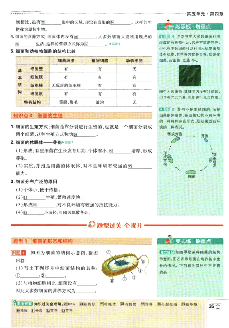 初中必刷题-8上-生物人教版狂K重点_2、2025初中必刷题合集_初中必刷题23+24+25上册_2025版（全科上册）_2025版（全科上册）_初中必刷题生物