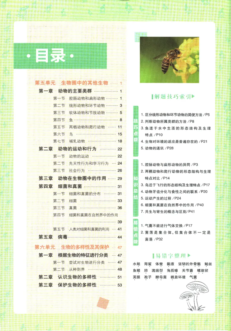 初中必刷题-8上-生物人教版狂K重点_2、2025初中必刷题合集_初中必刷题23+24+25上册_2025版（全科上册）_2025版（全科上册）_初中必刷题生物