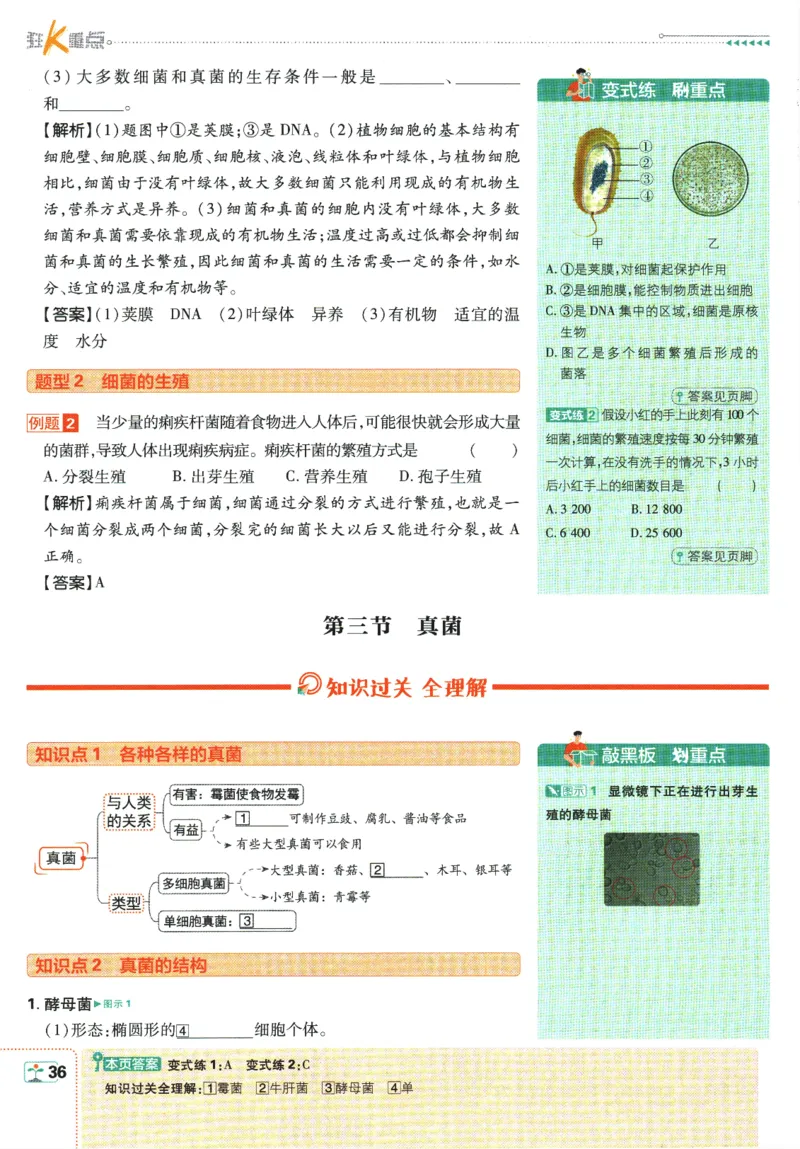 初中必刷题-8上-生物人教版狂K重点_2、2025初中必刷题合集_初中必刷题23+24+25上册_2025版（全科上册）_2025版（全科上册）_初中必刷题生物