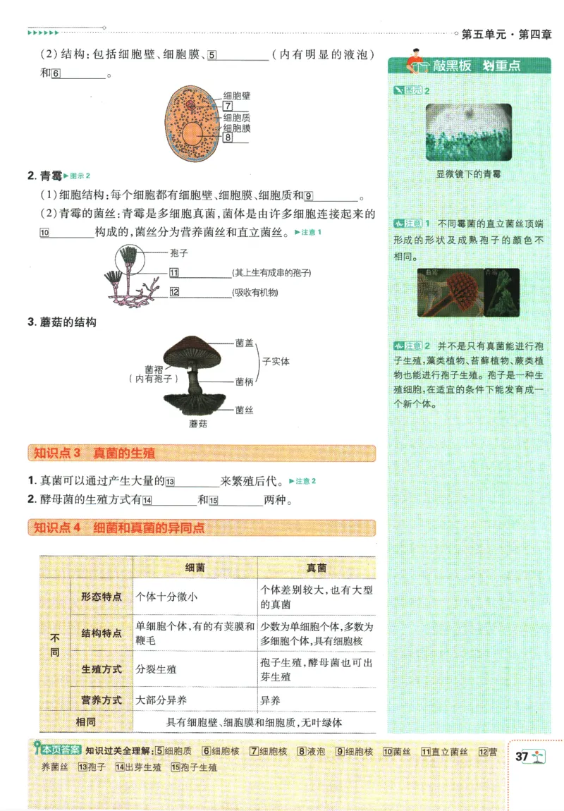初中必刷题-8上-生物人教版狂K重点_2、2025初中必刷题合集_初中必刷题23+24+25上册_2025版（全科上册）_2025版（全科上册）_初中必刷题生物