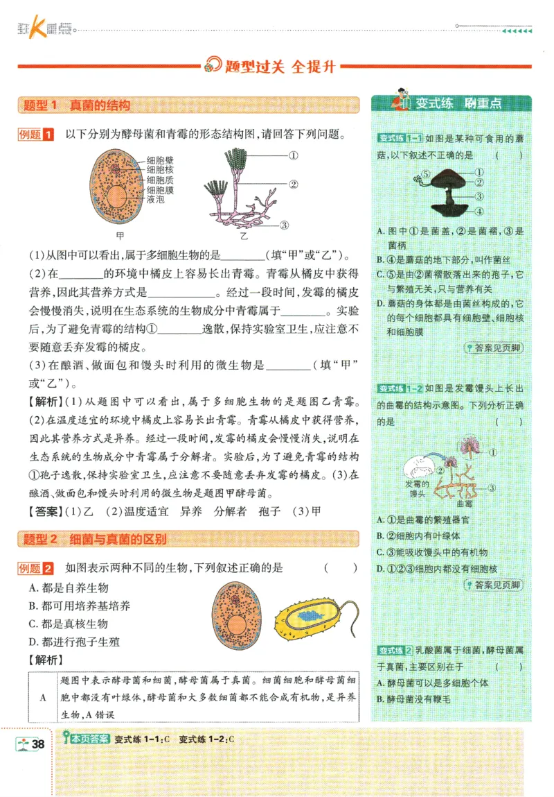 初中必刷题-8上-生物人教版狂K重点_2、2025初中必刷题合集_初中必刷题23+24+25上册_2025版（全科上册）_2025版（全科上册）_初中必刷题生物