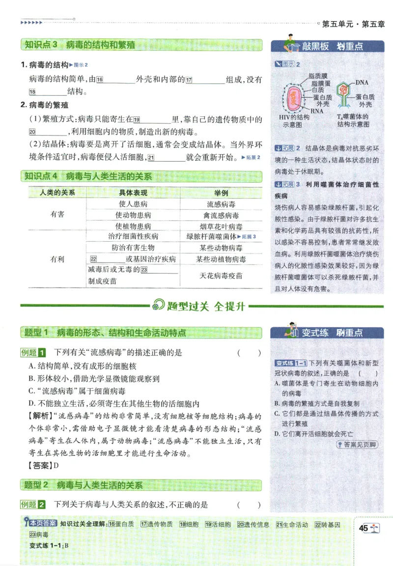 初中必刷题-8上-生物人教版狂K重点_2、2025初中必刷题合集_初中必刷题23+24+25上册_2025版（全科上册）_2025版（全科上册）_初中必刷题生物