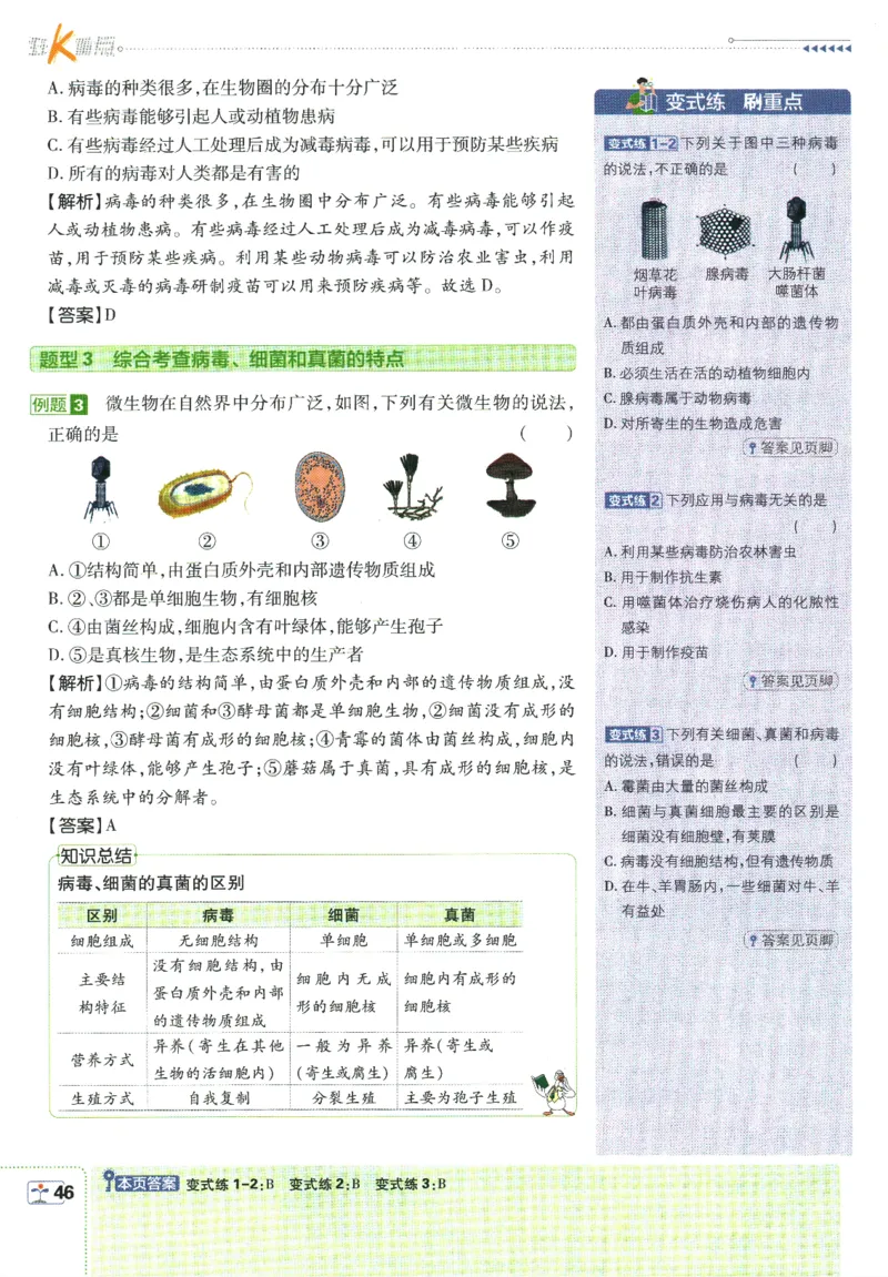 初中必刷题-8上-生物人教版狂K重点_2、2025初中必刷题合集_初中必刷题23+24+25上册_2025版（全科上册）_2025版（全科上册）_初中必刷题生物