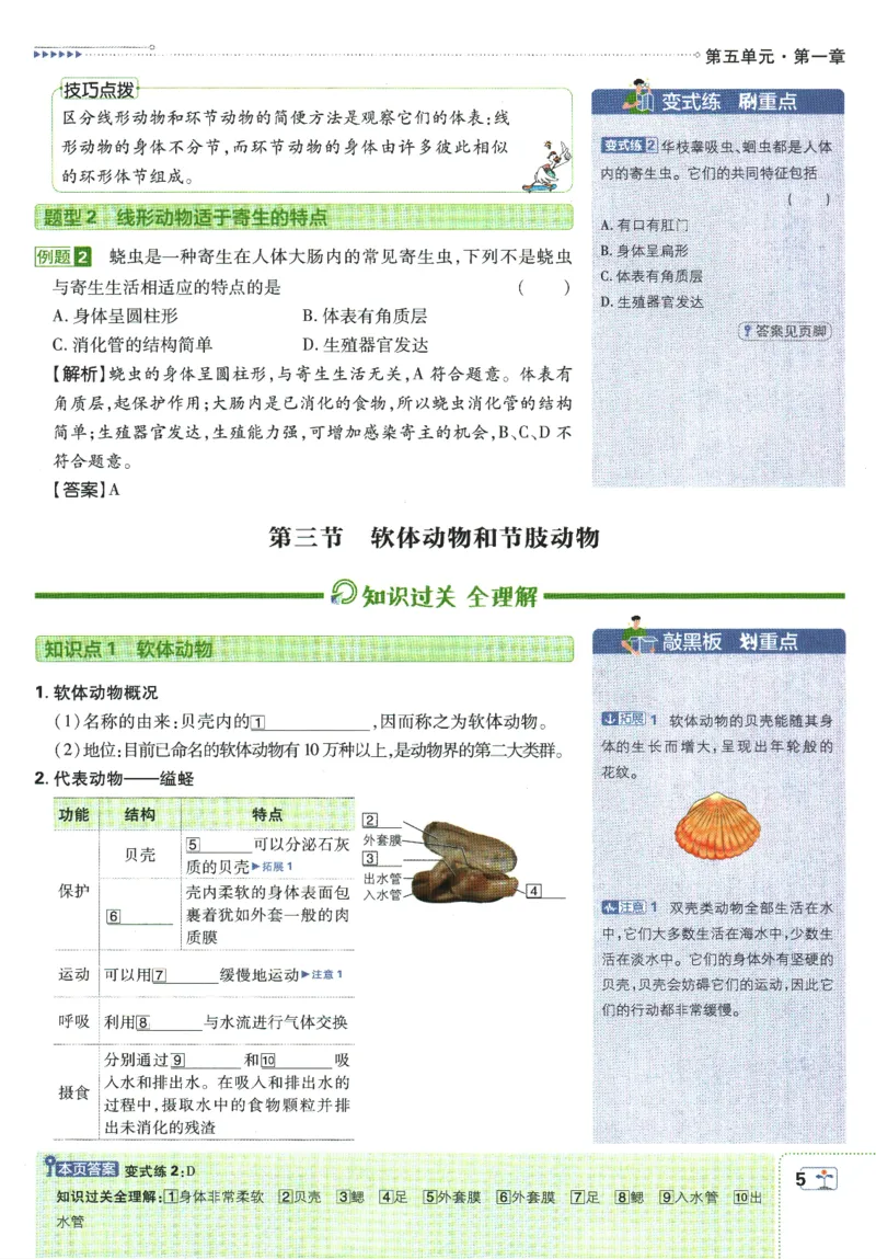 初中必刷题-8上-生物人教版狂K重点_2、2025初中必刷题合集_初中必刷题23+24+25上册_2025版（全科上册）_2025版（全科上册）_初中必刷题生物