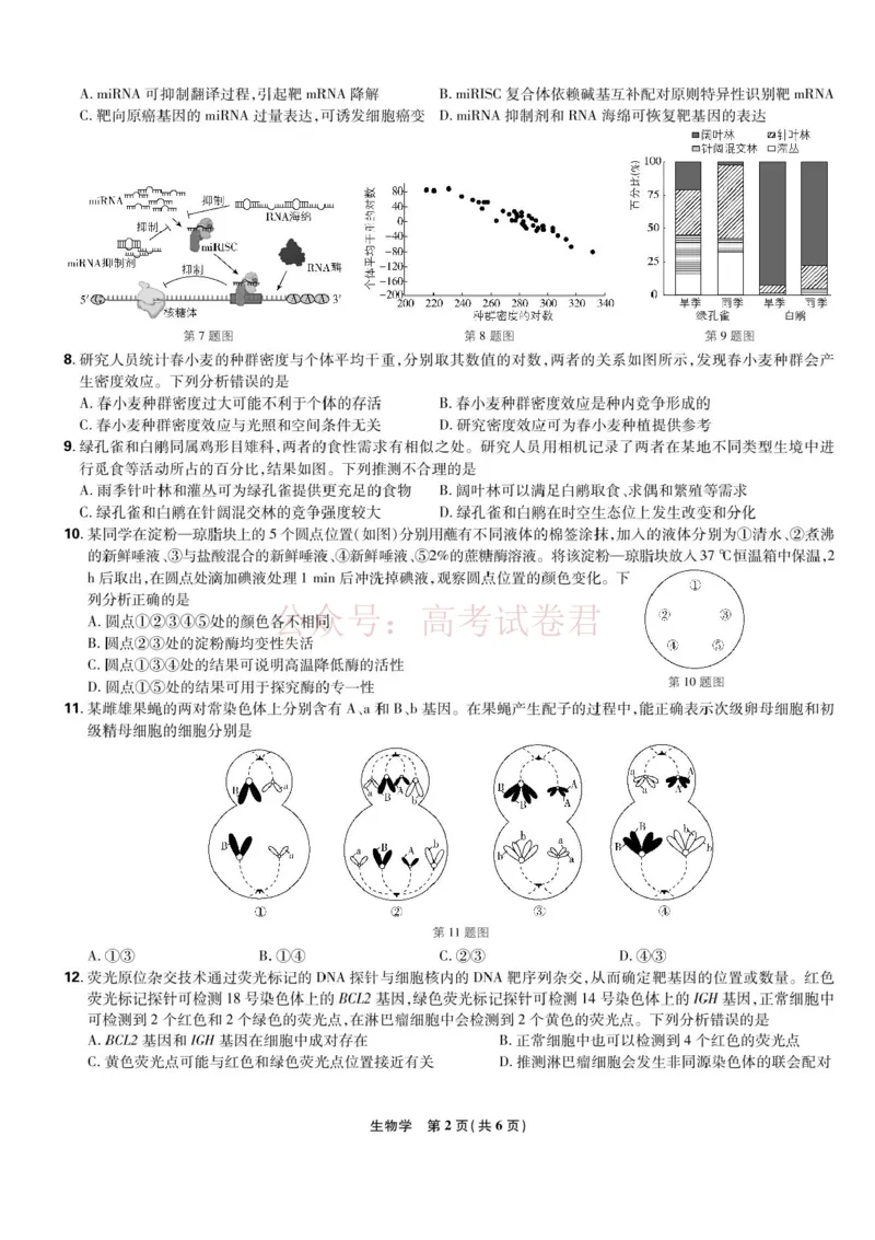 东北三省精准教学联盟2025届高三4月联考生物试卷+答案_副本_2025届东北三省精准教学联盟高三4月联考全科_06生物_2025届东北三省精准教学联盟高三4月联考