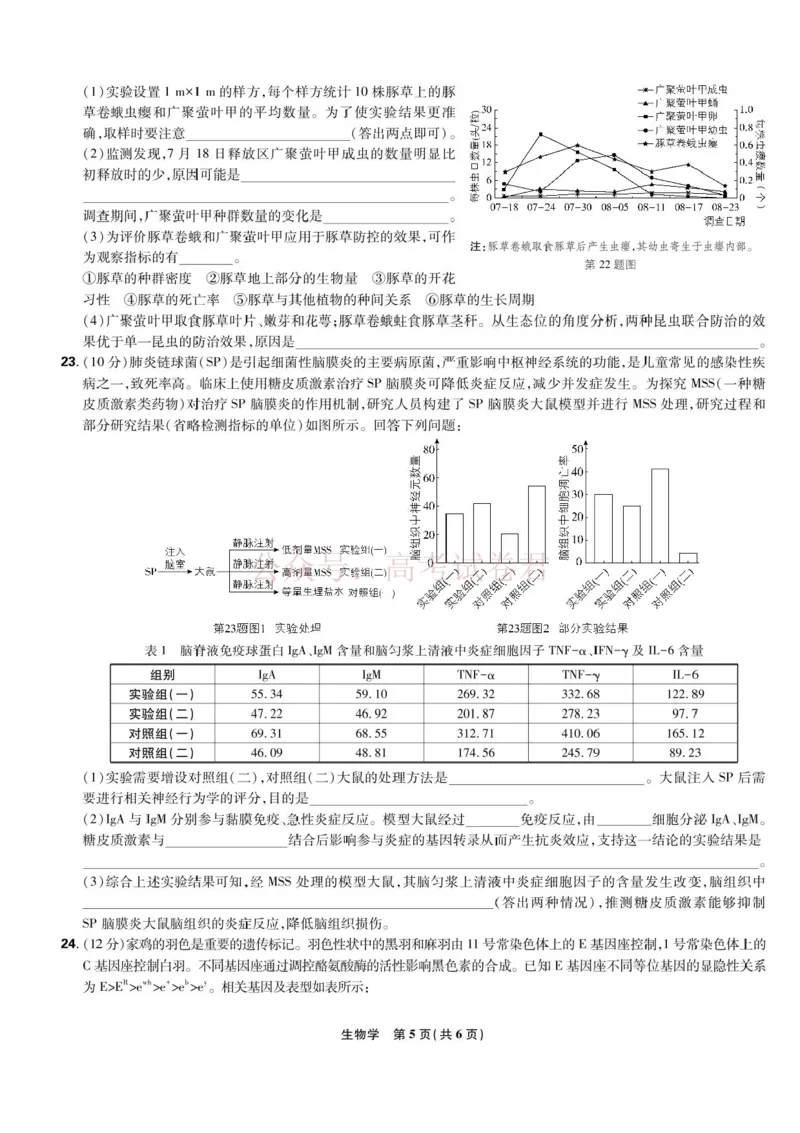 东北三省精准教学联盟2025届高三4月联考生物试卷+答案_副本_2025届东北三省精准教学联盟高三4月联考全科_06生物_2025届东北三省精准教学联盟高三4月联考