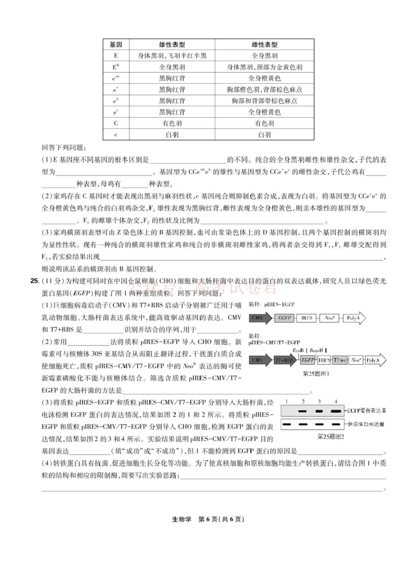 东北三省精准教学联盟2025届高三4月联考生物试卷+答案_副本_2025届东北三省精准教学联盟高三4月联考全科_06生物_2025届东北三省精准教学联盟高三4月联考