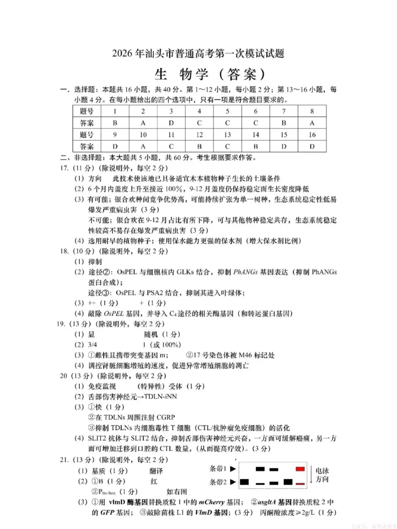 2026年汕头市普通高考第一次模拟考试生物答案_2026届广东省汕头市普通高考第一次模拟考试