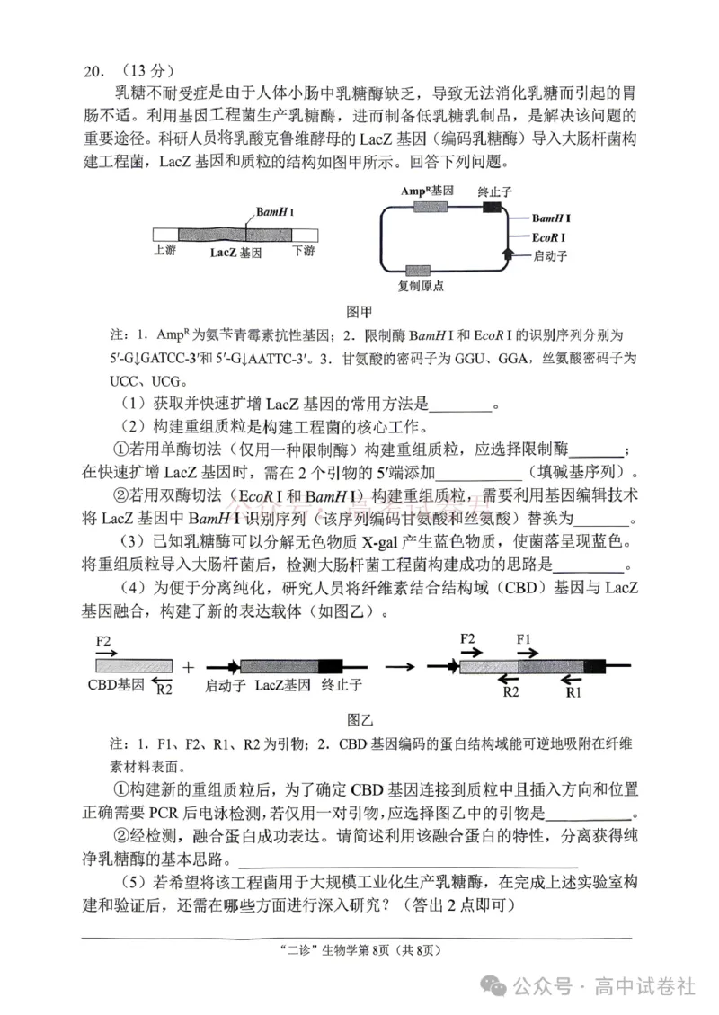 2026年四川省南充市高考适应性考试（二诊）生物_副本_2026年四川省南充市高考适应性考试（二诊）全科_06生物_四川省南充市高考适应性考试（二诊）