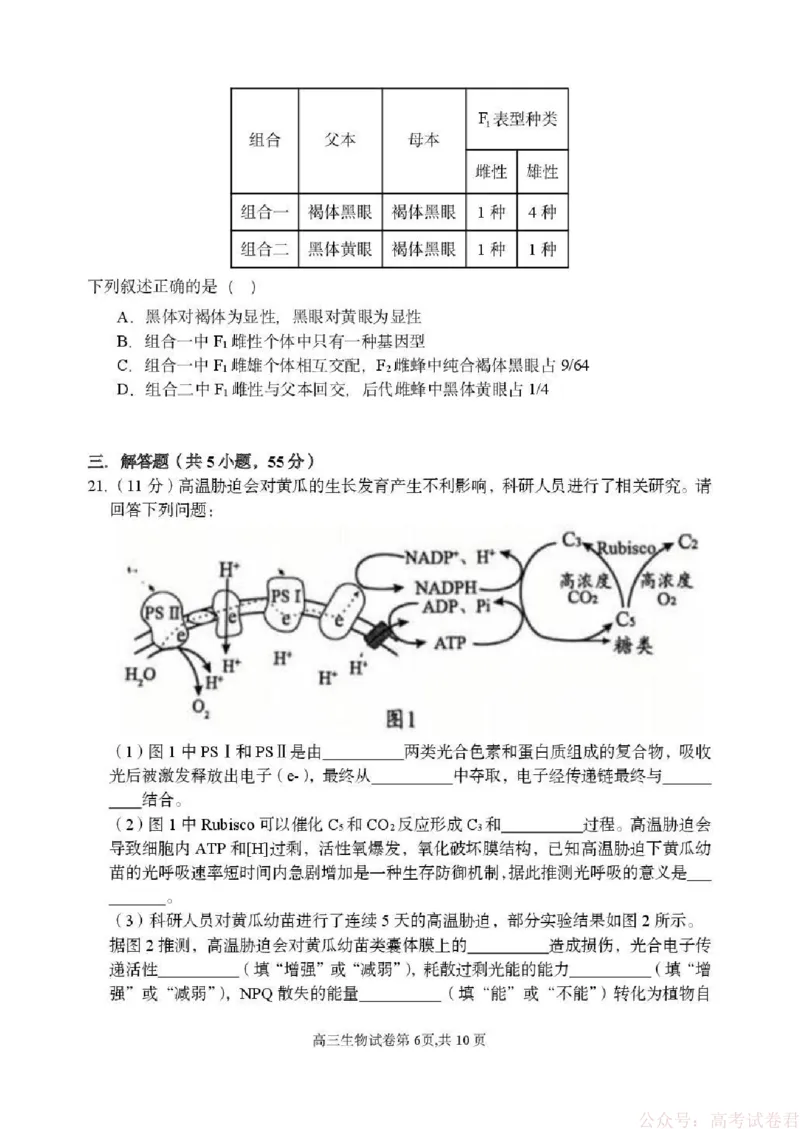 东北育才学校2025-2026学年高三下学期第六次模拟考试生物_2026届东北育才学校高三下学期第六次模拟考试