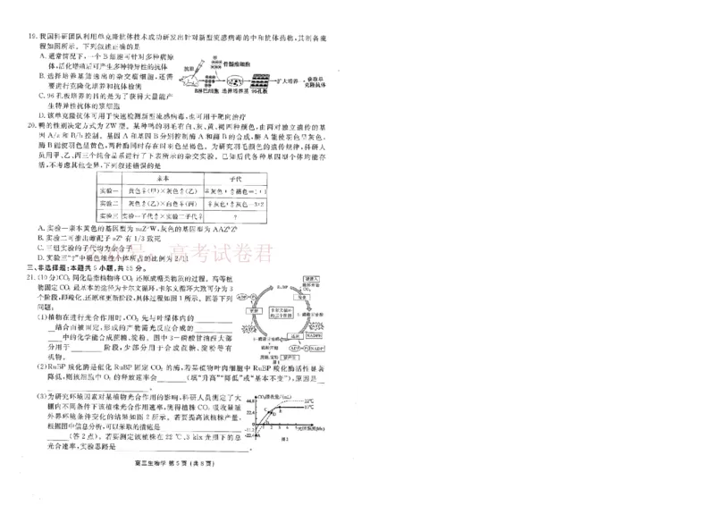 2026年辽宁点石联考高三年级3月学情调研生物_2026届辽宁点石联考高三3月学情调研_05生物_辽宁点石联考高三3月学情调研