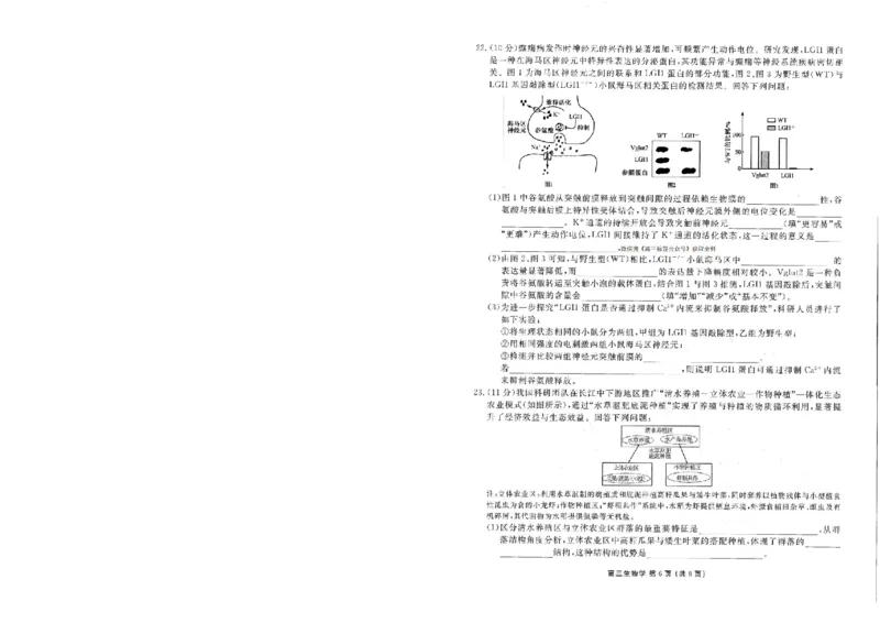 2026年辽宁点石联考高三年级3月学情调研生物_2026届辽宁点石联考高三3月学情调研_05生物_辽宁点石联考高三3月学情调研