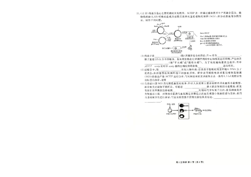 2026年辽宁点石联考高三年级3月学情调研生物_2026届辽宁点石联考高三3月学情调研_05生物_辽宁点石联考高三3月学情调研