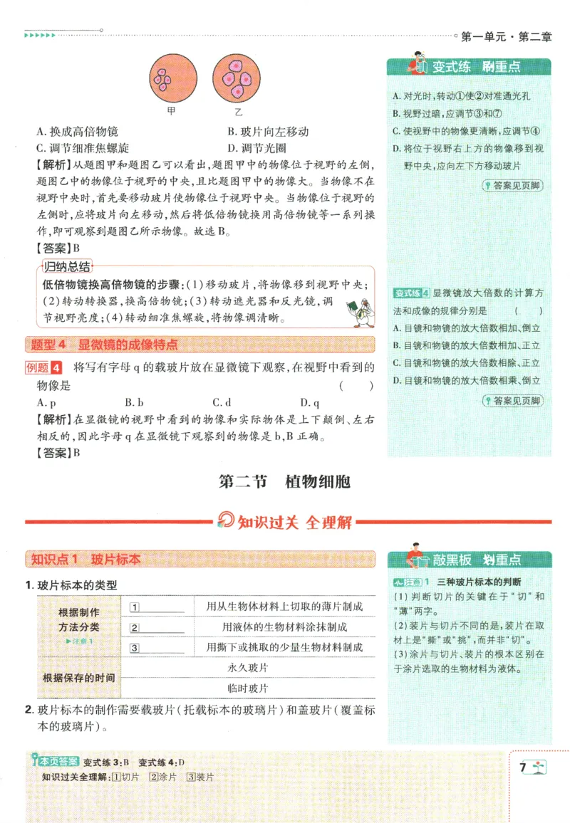 初中必刷题-7上-生物人教版狂K重点_2、2025初中必刷题合集_初中必刷题23+24+25上册_2025版（全科上册）_2025版（全科上册）_初中必刷题生物