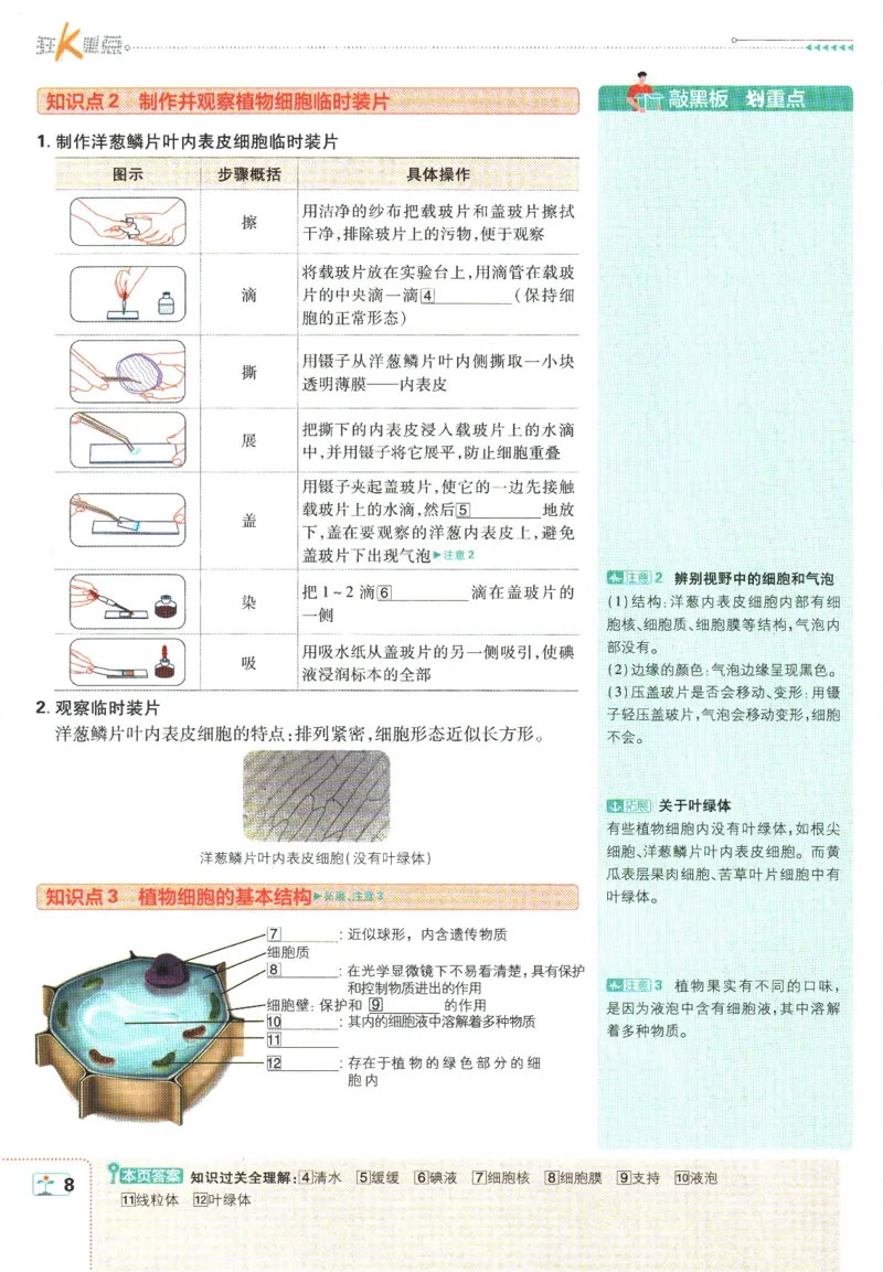 初中必刷题-7上-生物人教版狂K重点_2、2025初中必刷题合集_初中必刷题23+24+25上册_2025版（全科上册）_2025版（全科上册）_初中必刷题生物